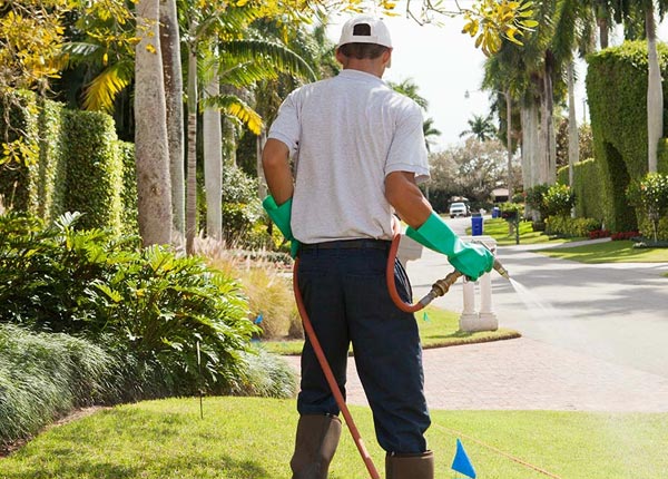About East Providence RI Pest Control Pros